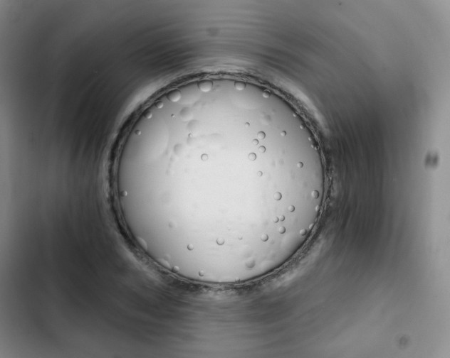 X0000102820978200808181021