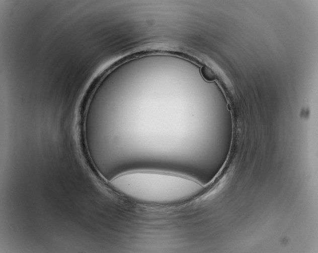 X0000102820981200808181021