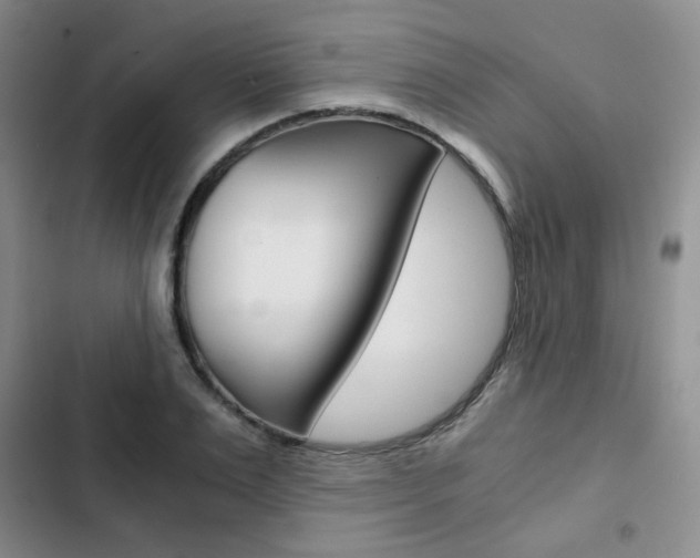 X0000102820983200808181021