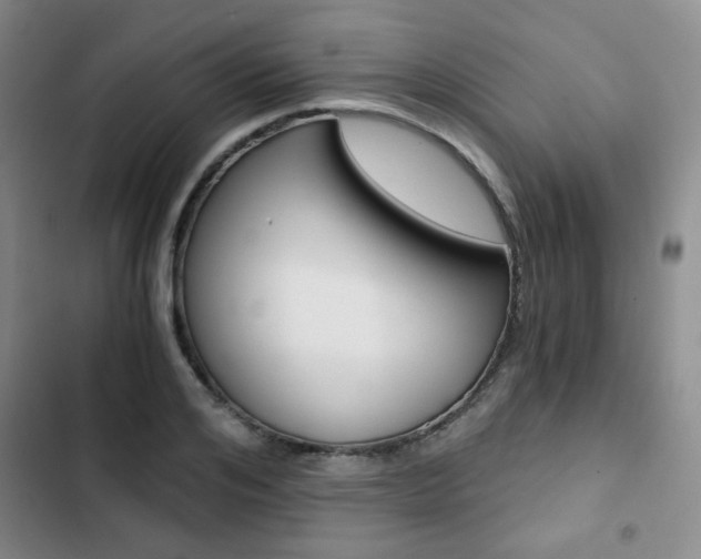X0000102820984200808181021