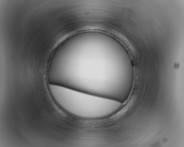 X0000102820985200808181021