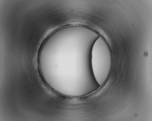 X0000102820986200808181020