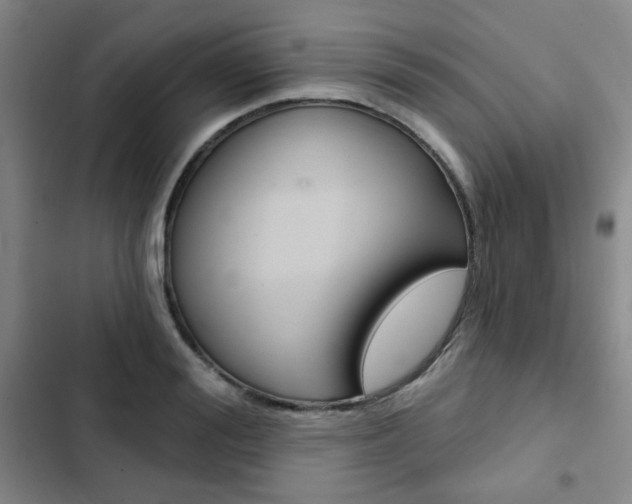 X0000102820988200808181020