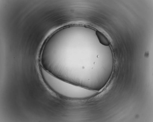 X0000102820989200808181020