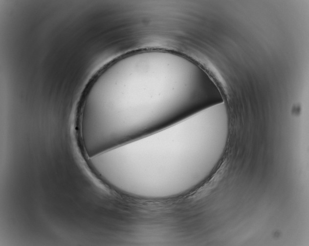 X0000102820991200808181020