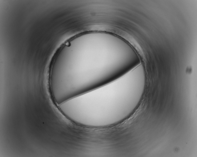 X0000102820992200808181020