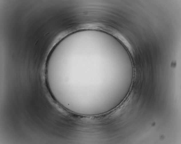 X0000102820994200808181020