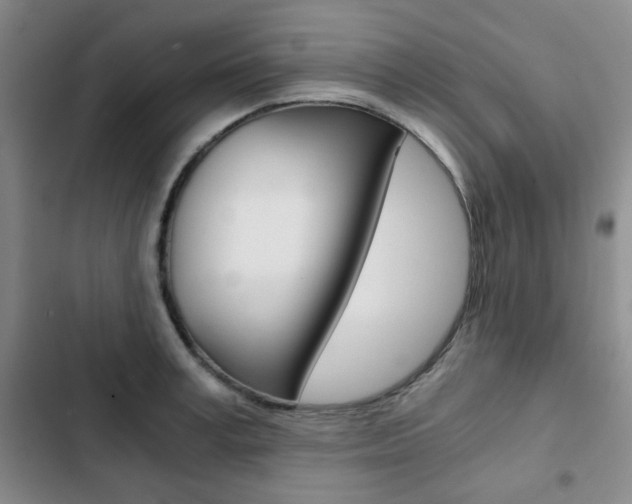 X0000102820995200808181020