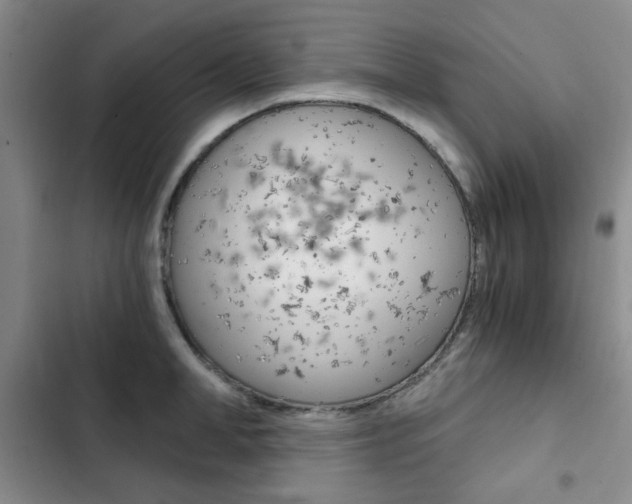 X0000102820998200808181020