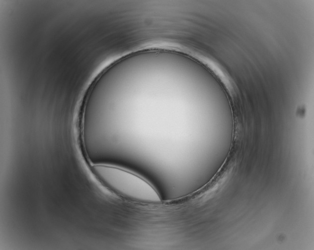 X0000102820999200808181020