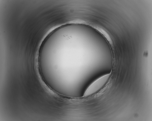 X0000102821000200808181020