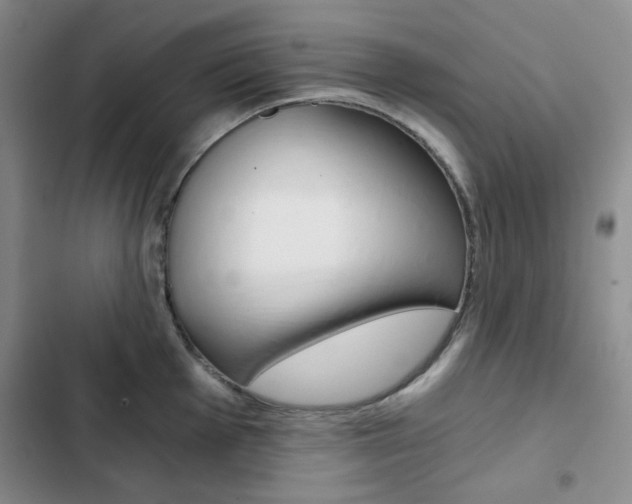 X0000102821001200808181020