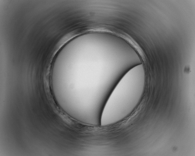 X0000102821002200808181020