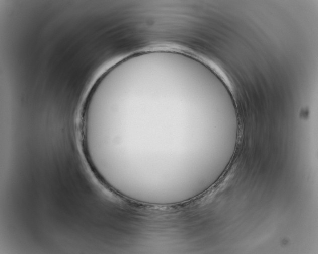 X0000102821003200808181020