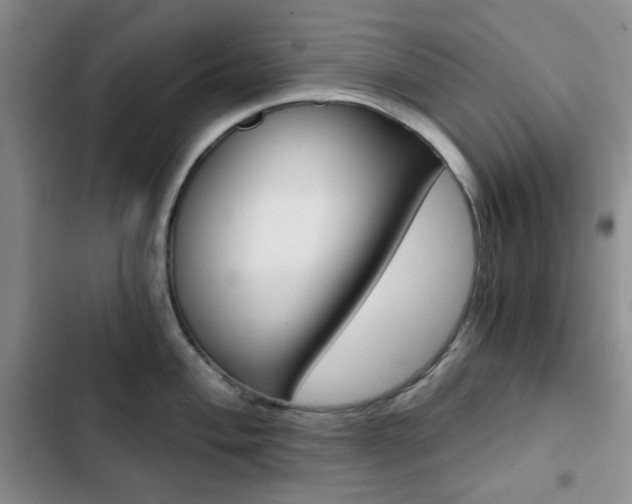 X0000102821004200808181020