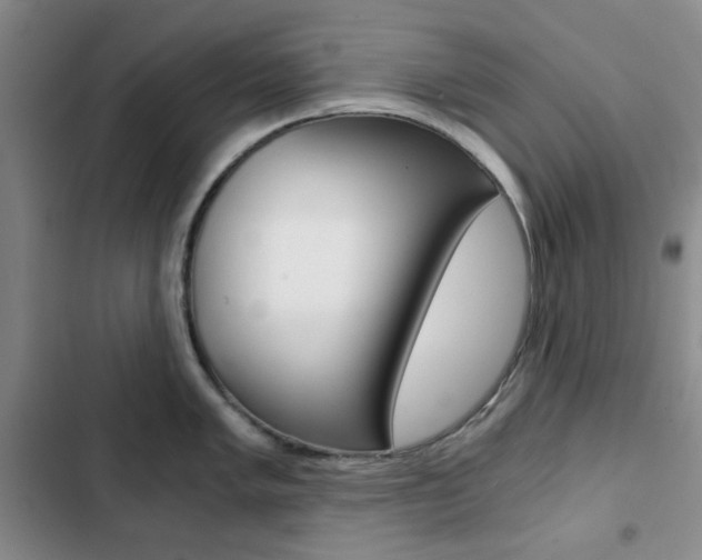 X0000102821005200808181020
