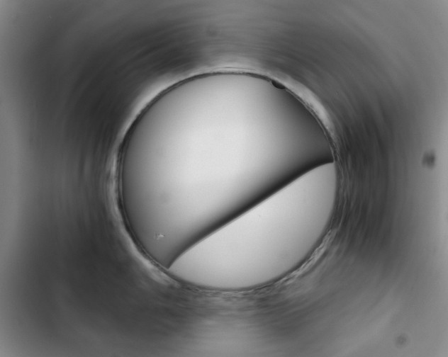 X0000102821006200808181020