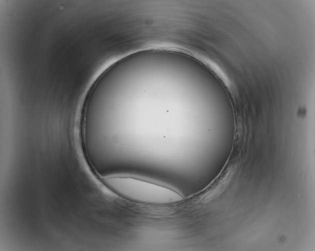 X0000102821007200808181020