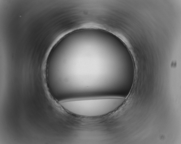 X0000102821008200808181020