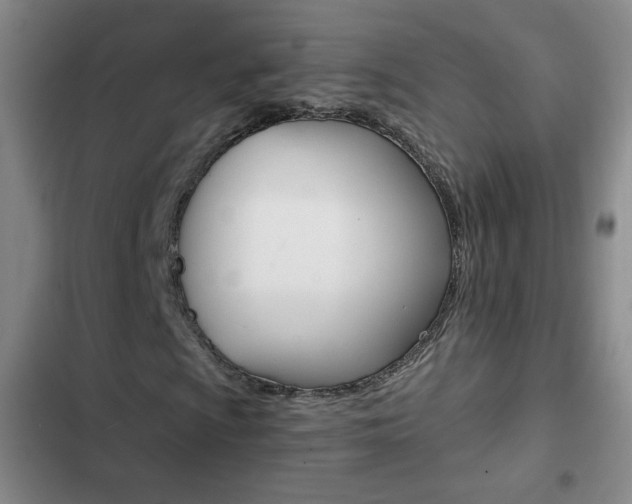 X0000102821009200808181019