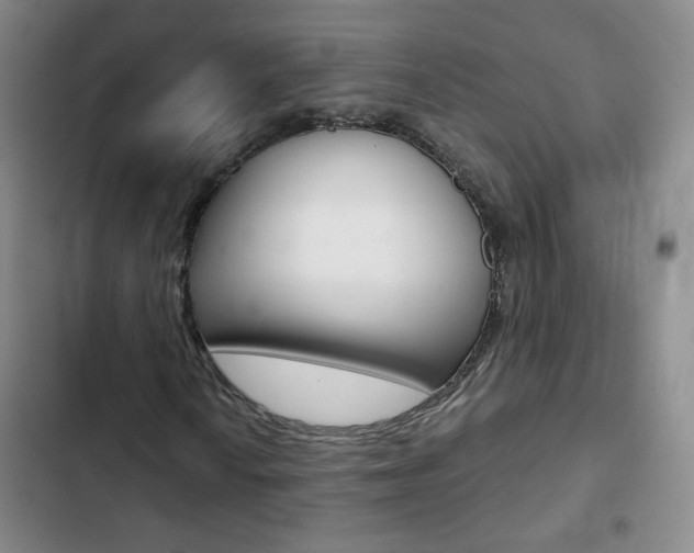 X0000102821010200808181019