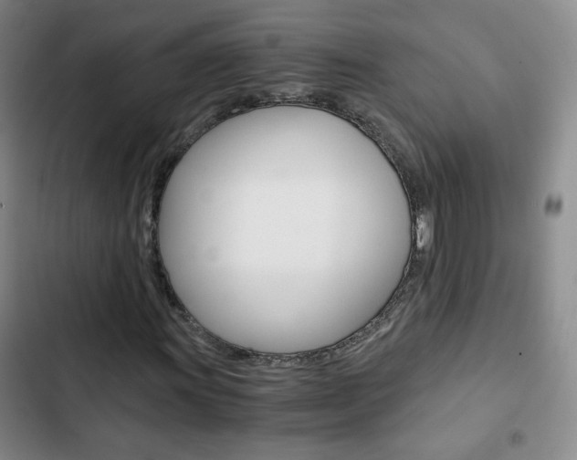 X0000102821011200808181019