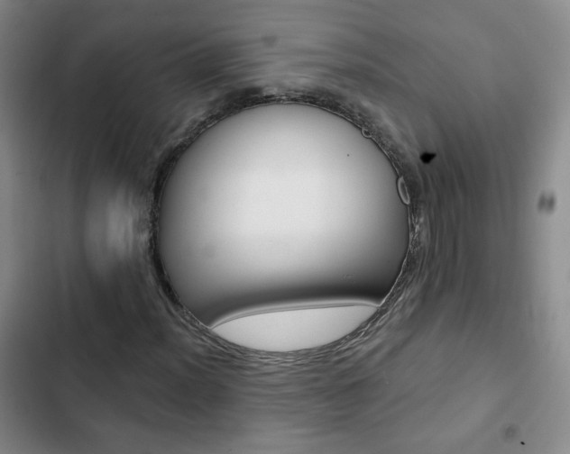 X0000102821012200808181019