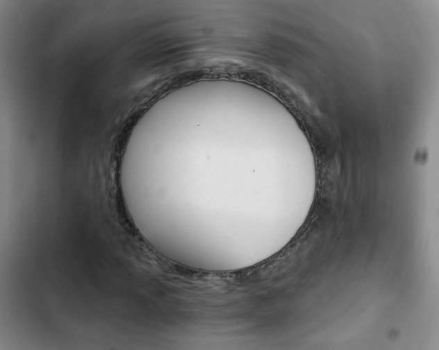 X0000102821013200808181019
