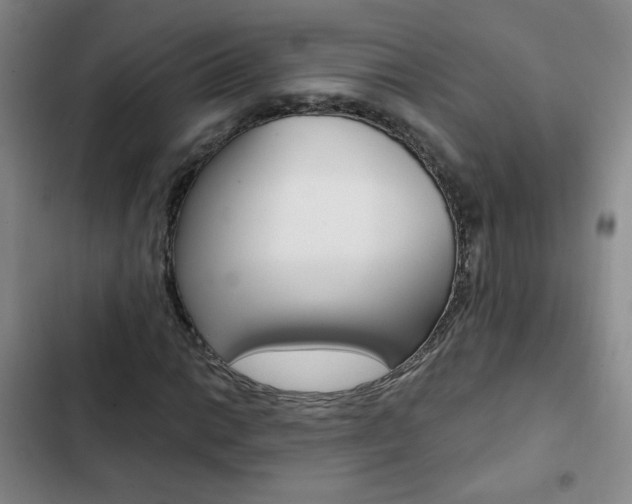 X0000102821014200808181019