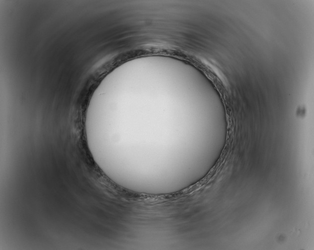 X0000102821015200808181019