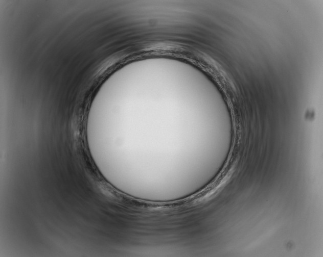 X0000102821017200808181019