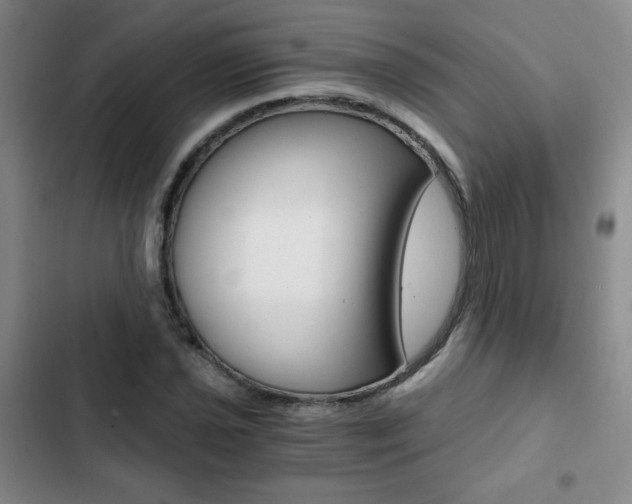 X0000102821021200808181020