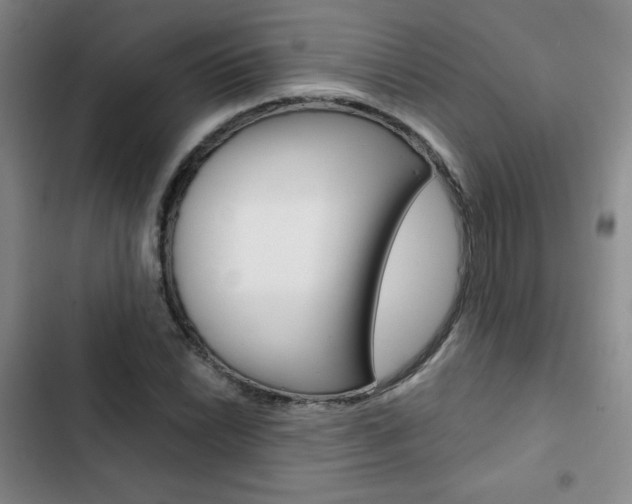 X0000102821022200808181020