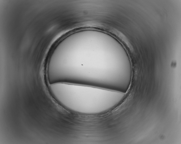X0000102821024200808181020