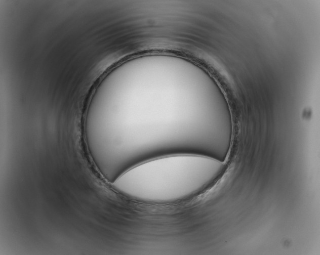 X0000102821025200808181020