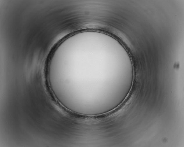 X0000102821026200808181020