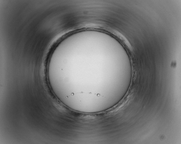 X0000102821027200808181020