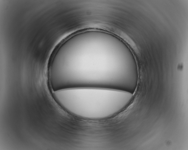 X0000102821028200808181020