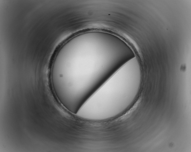 X0000102821029200808181020