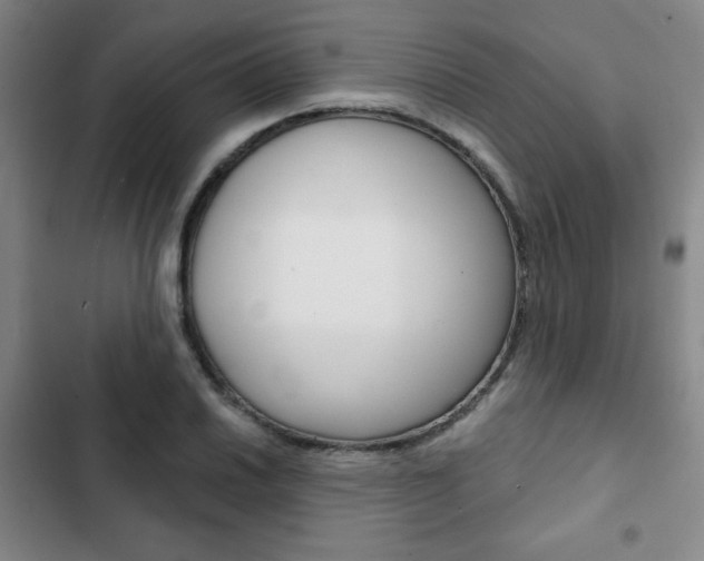 X0000102821030200808181020