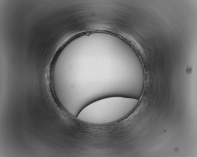 X0000102821031200808181020