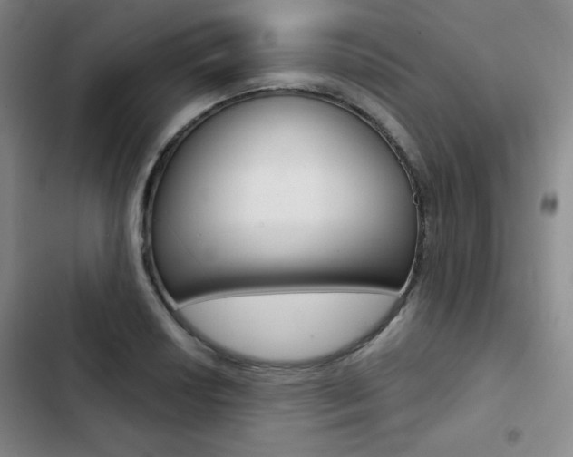 X0000102821034200808181020