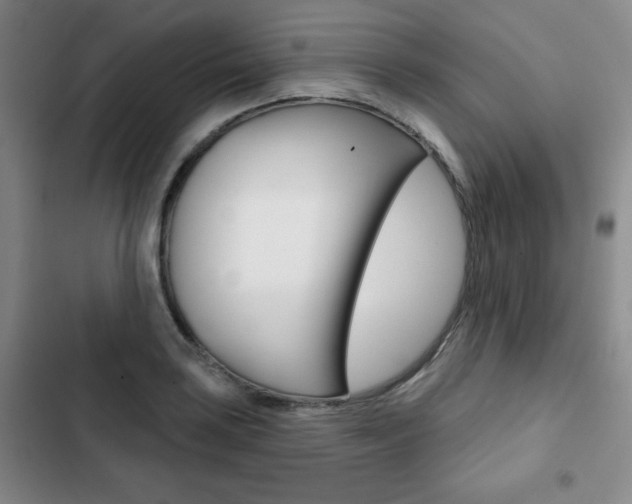 X0000102821035200808181020