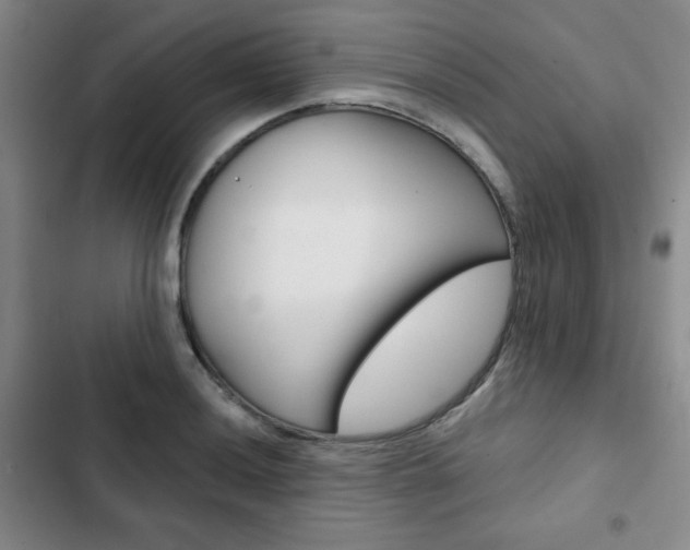 X0000102821036200808181020