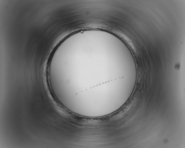 X0000102821039200808181020