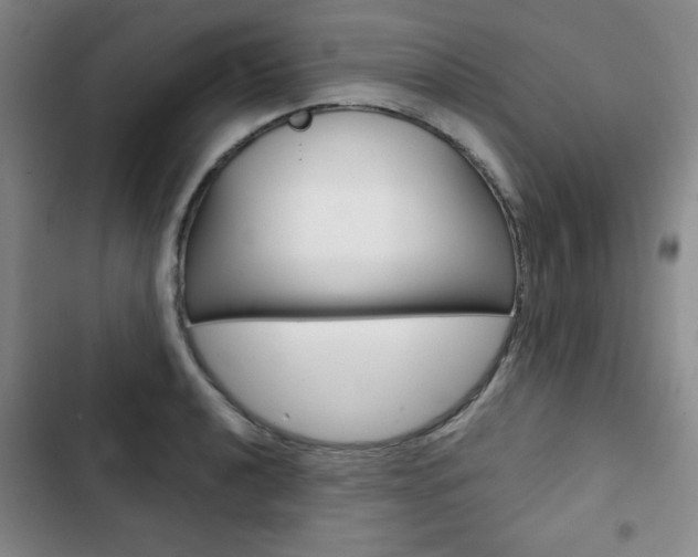 X0000102821040200808181020