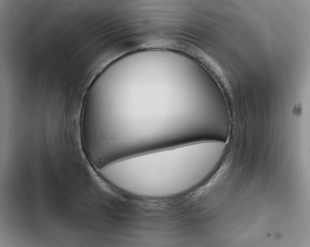 X0000102821041200808181020