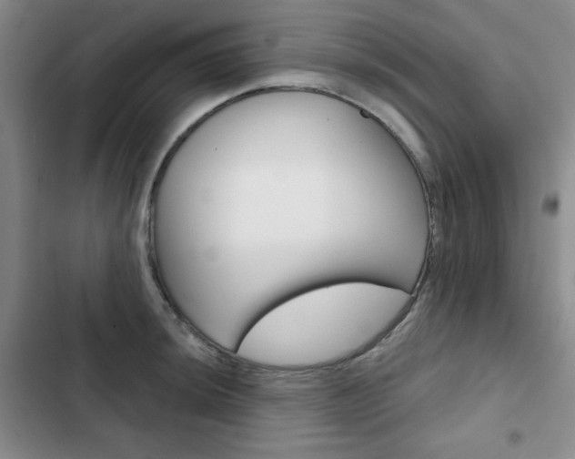 X0000102821044200808181020