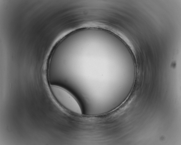 X0000102821045200808181020