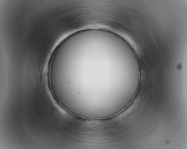 X0000102821046200808181020